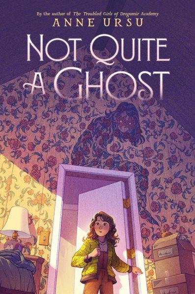 Not quite a ghost / Anne Ursu.